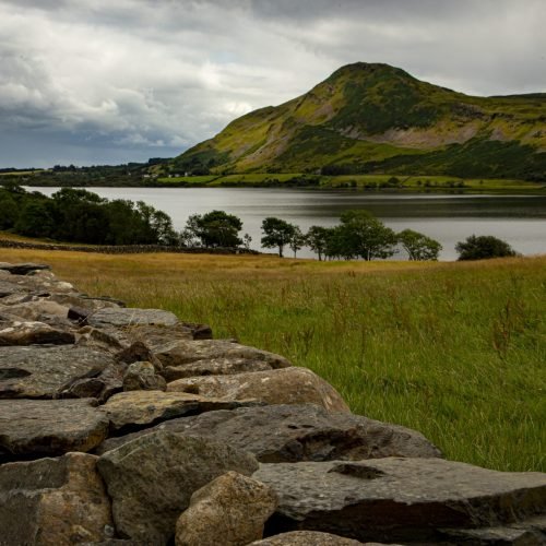 The Bertraghboy Bay covered in greenery under a cloudy sky in Connemara in Ireland