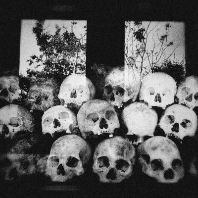 pexels-alexeydemidov-11623303