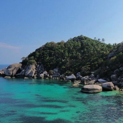 pexels-mirthe-diender-630594493-29496456