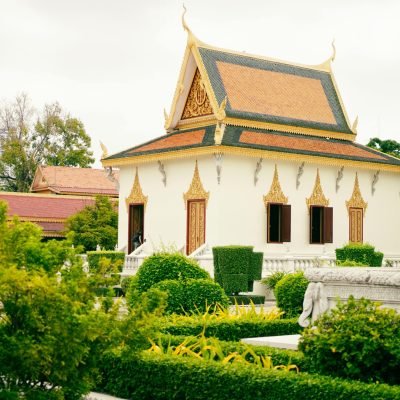 pexels-sophors-30965102