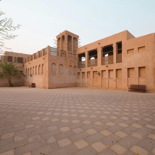 pexels-walidphotoz-33665954